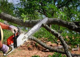 Best Lawn Grading and Leveling  in Santee, CA